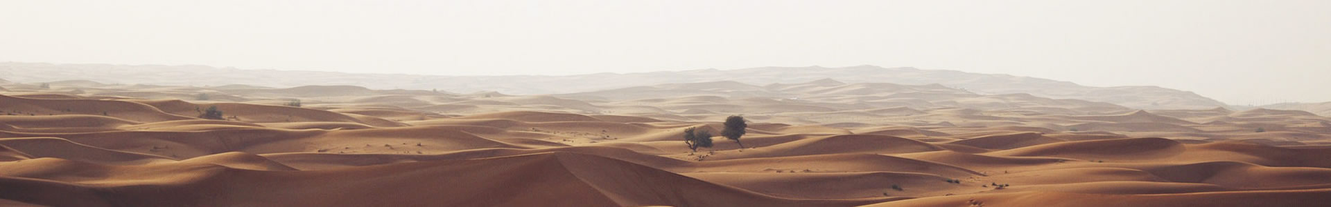 -ɻ޹˾